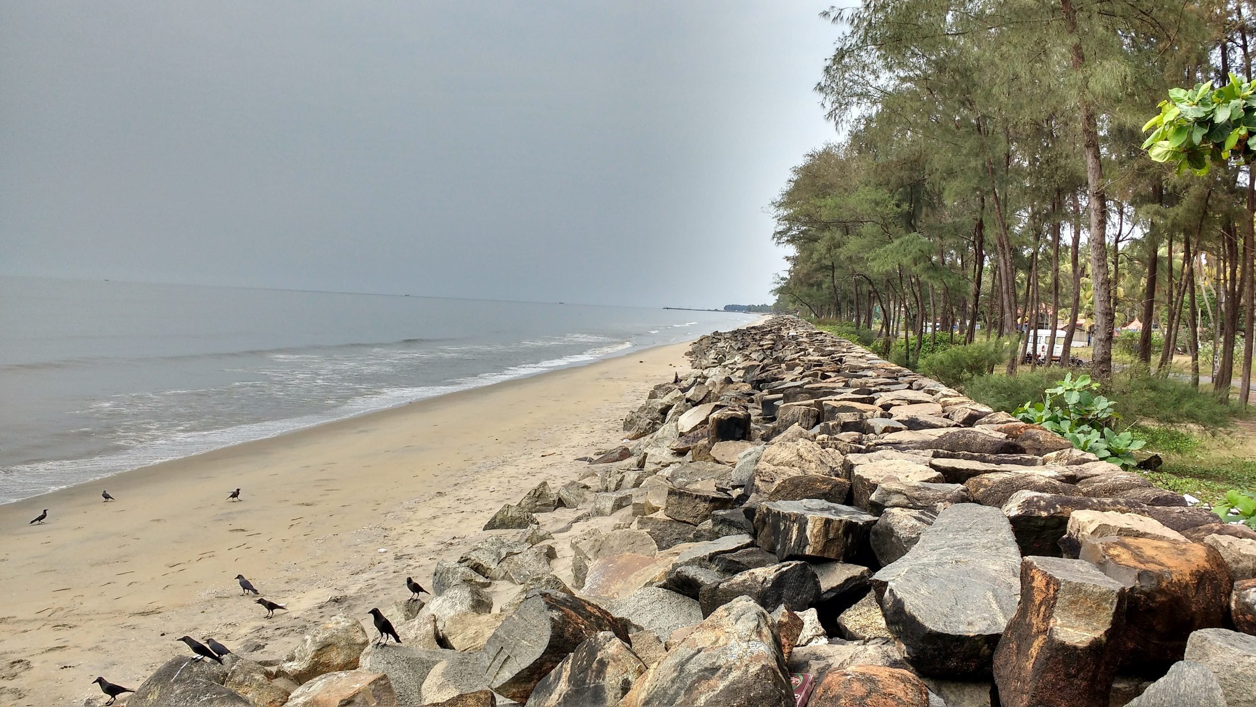 10 Best Places to Visit in Kochi